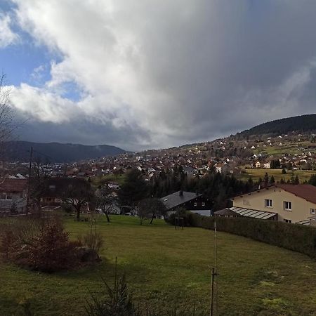 Chalet Du Nid D'Amour Gérardmer Exteriör bild